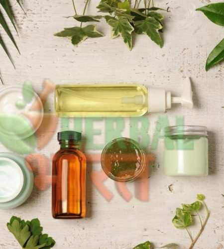 Novel-herbs-in-natural-cosmetics-promising-across-hair-care-and-skin-care-finds-review (1)